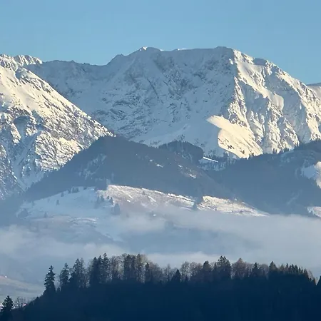 Appartement Bergblick-lounge Zentral In Immenstadt Immenstadt im Allgäu