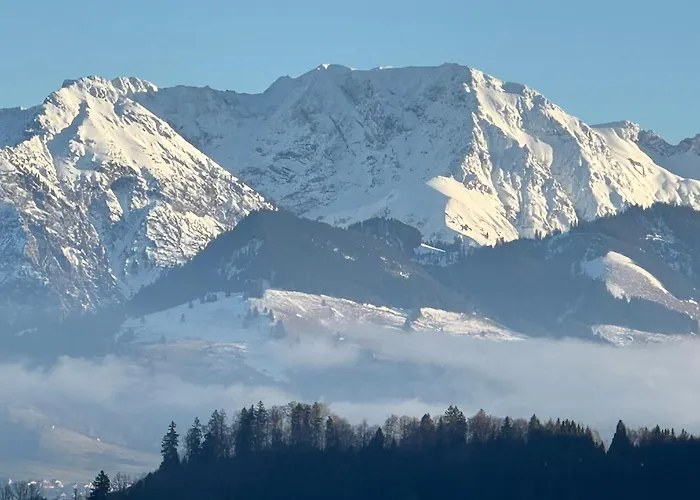 Apartment Bergblick-lounge Zentral In Immenstadt Immenstadt im Allgäu