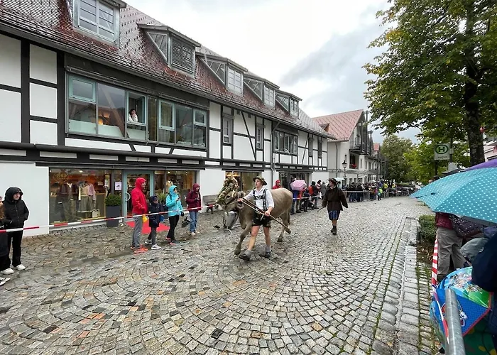Appartement Bergblick-lounge Zentral In Immenstadt Immenstadt im Allgäu